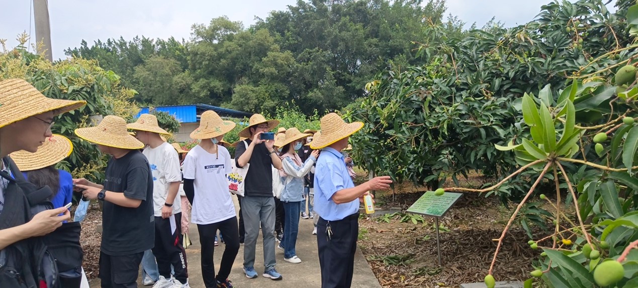 2138CC太阳集团