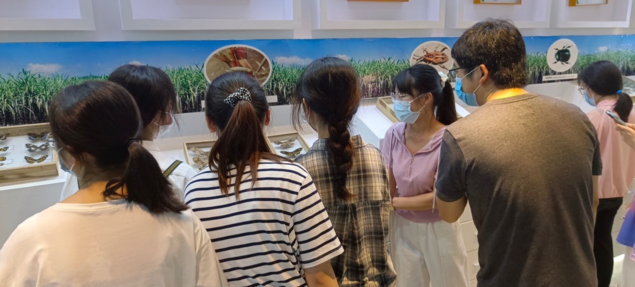 2138CC太阳集团