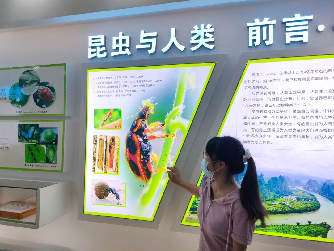 2138CC太阳集团