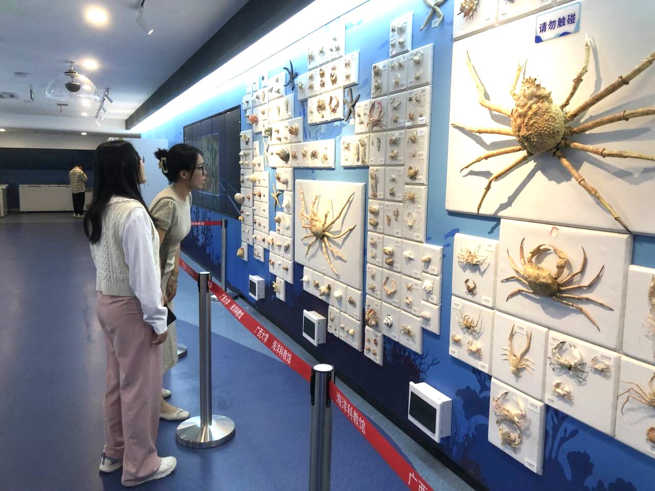 2138CC太阳集团
