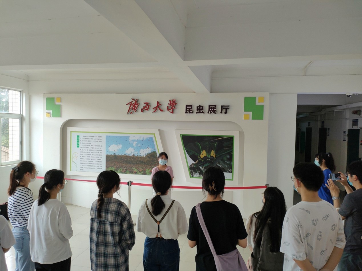 2138CC太阳集团